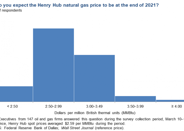 Henry Hub price forecast