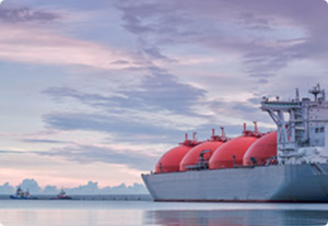 LNG training
