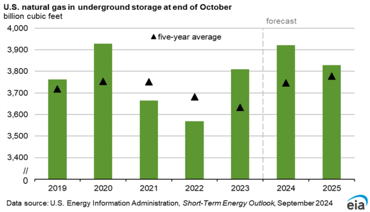U.S. LNG exports to reach 14.1 bcfd in 2025 | Global LNG Hub