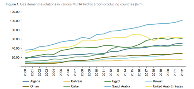 Gas demand in the MENA hydrocarbon producing countries | Global LNG Hub