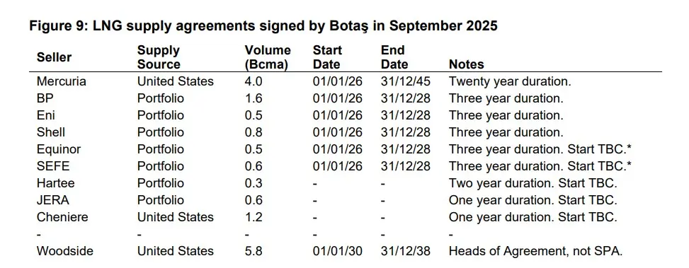 Turkish-LNG-Shopping-Spree