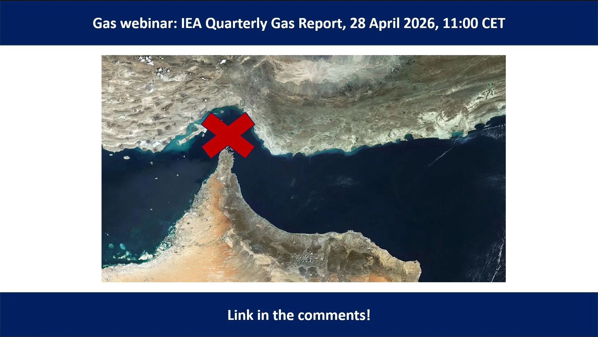 Satellite satellite view of a rugged coastline with a bold red X marking a point along the shore by dark blue sea edge