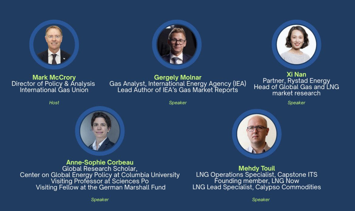 World LNGv webinar | Global LNG Hub | Global LNG Hub Six headshots in circular blue frames on a dark blue background, with names and titles: Mark McCrory; Gergely Molnar; Xi Nan; Anne-Sophie Corbeau; Mehdy Touil (six speakers pictured).